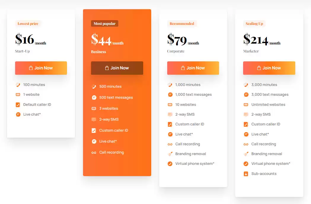 Voizee Pricing